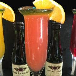 Mimosa Mimosa